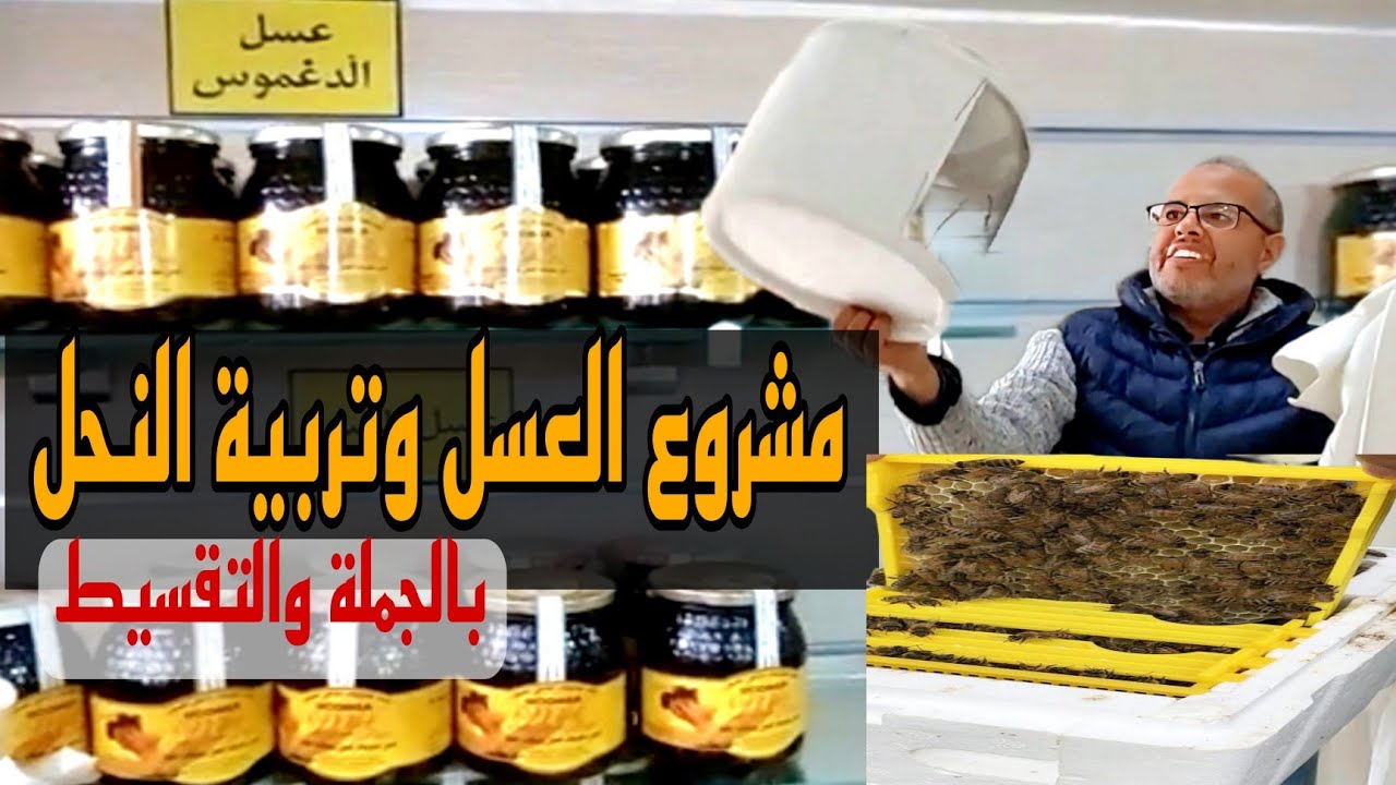 مشروع العسل وتربية النحل البيع بالجملة والتقسيط للمستهلك