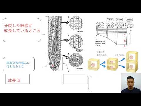 ３年理科 生命 第３回 細胞分裂 Youtube