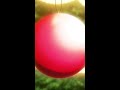 「それらに勝手な差や意味をつけてるのは、オレたち人間だ」／#ぷにるはかわいいスライム 第11話より／#ぷにかわ 第12話は12/22 24:25〜放送！／ #anime