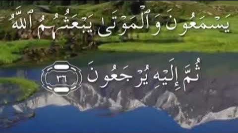 سورة الانعام صفحة ١٣٢ مكتوبة مكررة بصوت الغامدي