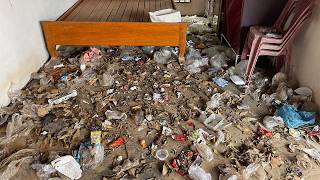 The House Cleaning This Morning   