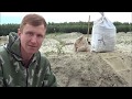 Эко1 Андрей Ткаченко. Картофель на голом песке. Биогумус