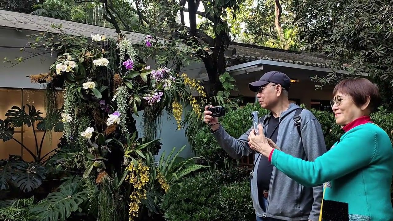 兰圃內的各種植物