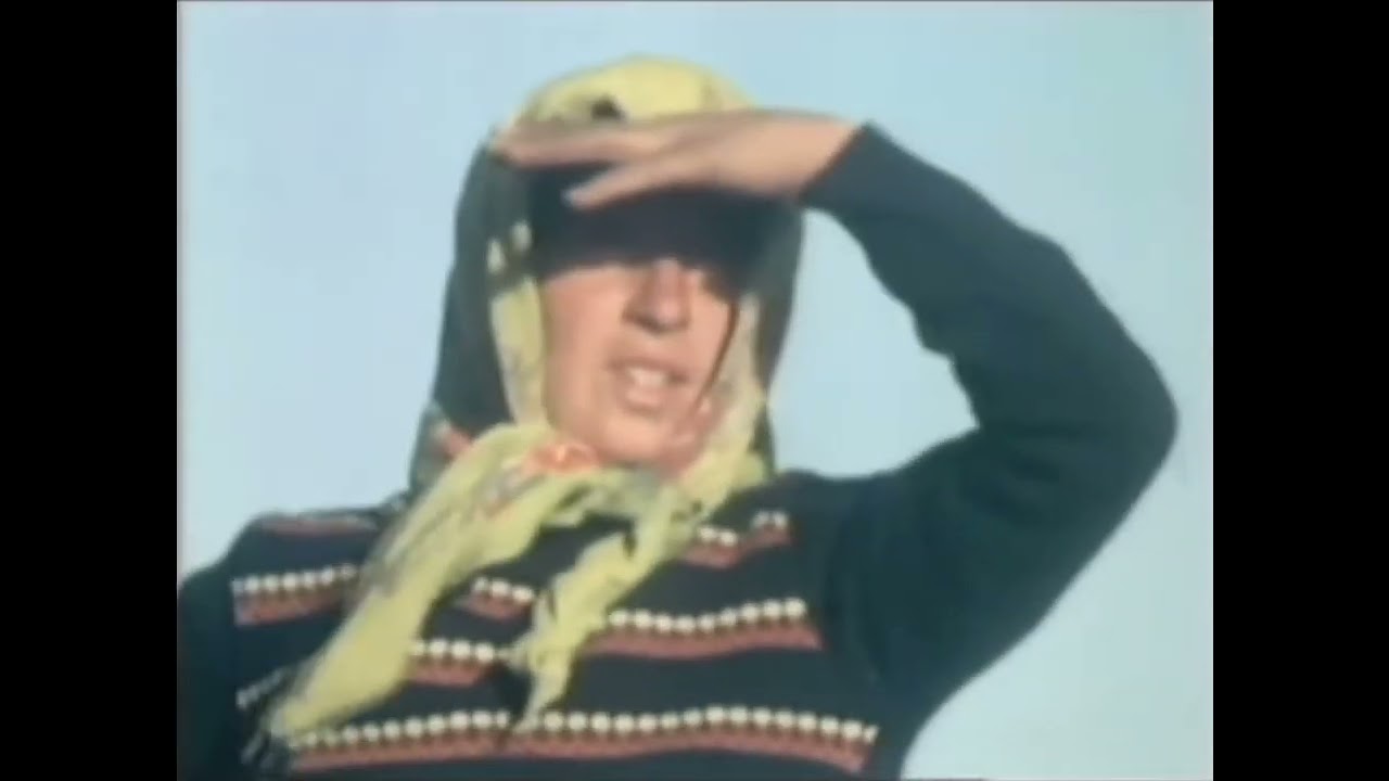 Beritan Aşireti 1980