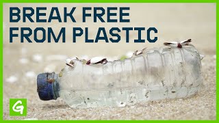 How Plastic Pollution is Creating an Environmental and Health Crisis