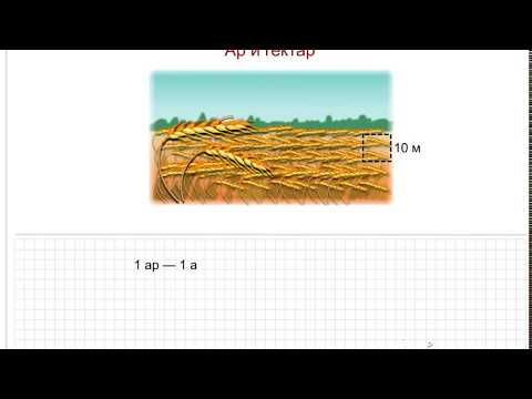 4а матем 23.04 ар, гектар (117)