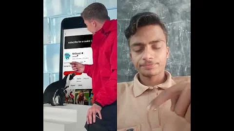 #helpmemakethismakesense #penguin #challenge #newमारवाड़ीcomedy #funnyimages #funnyvideos