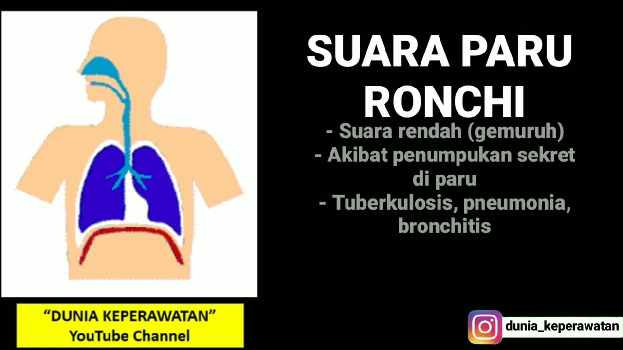 JENIS SUARA NAFAS PARU || DUNIA KEPERAWATAN