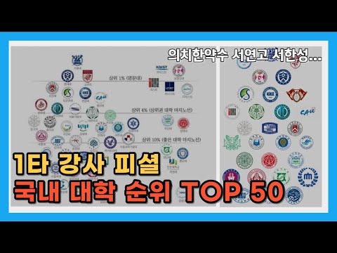 1타 강사 피셜 대학 순위 TOP 50 2024 