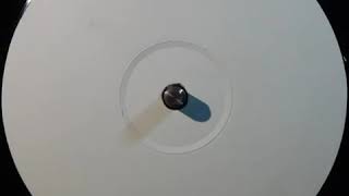B2-Dub Liner - Untitled