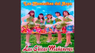 Video thumbnail of "Las Chicas Mañaneras Vol.2 - El Alizal - Adios,adios Cholito"