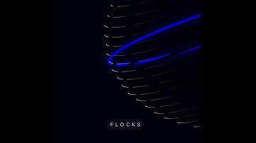 FLOCKS - When You Appear, Everything Will Be