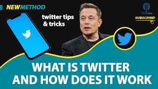 What is Twitter and How Does it Work 2025 [New Method]
