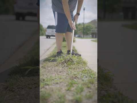 Satisfying Deep Root