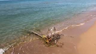 Жара Море Пляж Анапа Благовещенская чистейшая вода