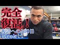 【お待たせしました】復活への100日 Week11【ｳｵﾘｬｱｱｱ】