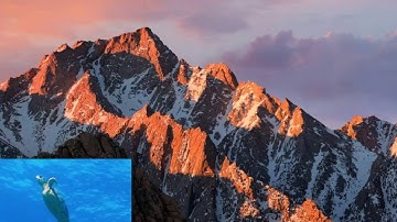 MacOS Sierra Safari picture in picture video