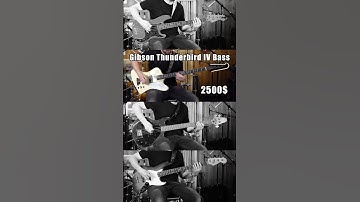 Thumbnail of Fender vs Gibson bass comparison #fender #gibson #thunderbird #grabber