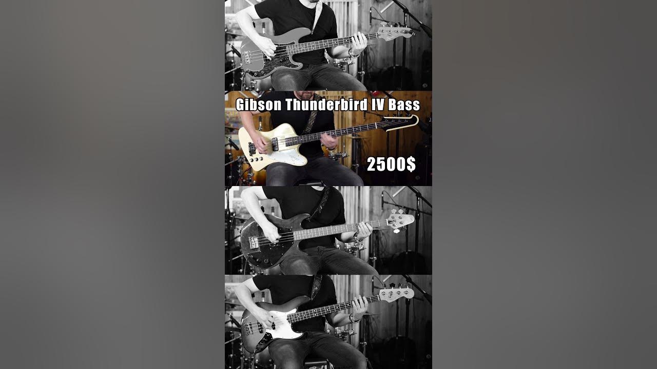 Fender vs Gibson bass comparison #fender #gibson #thunderbird #grabber