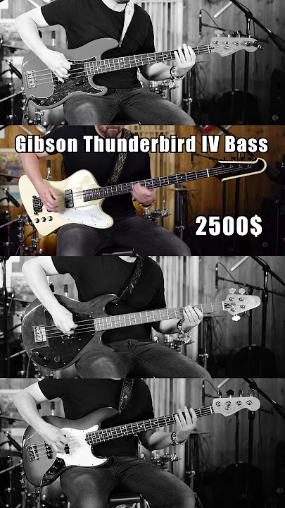 Fender vs Gibson bass comparison #fender #gibson #thunderbird #grabber