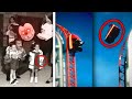 أسرار وأحداث صادمة حصلت في ديزني لاند ما بتصدقون اللي صار أسرار وأحداث صادمة حصلت في ديزني لاند ما بتصدقون اللي صار