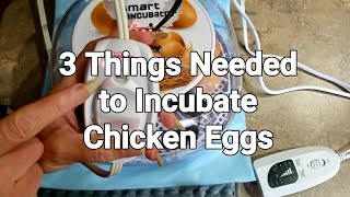What Do I Need to Incubate Chicken Eggs?