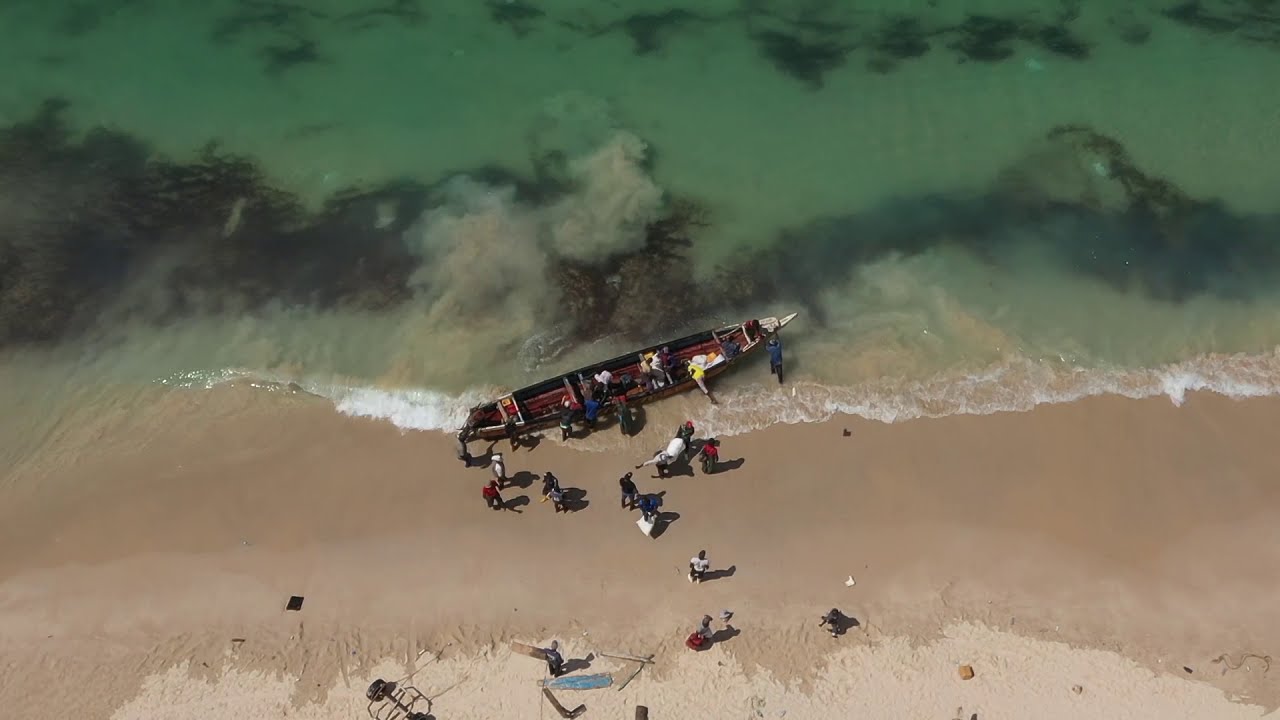 Promopeche GIZ : Plan de contrôle en hygiène et qualité des produits de la pêche - ONISPA