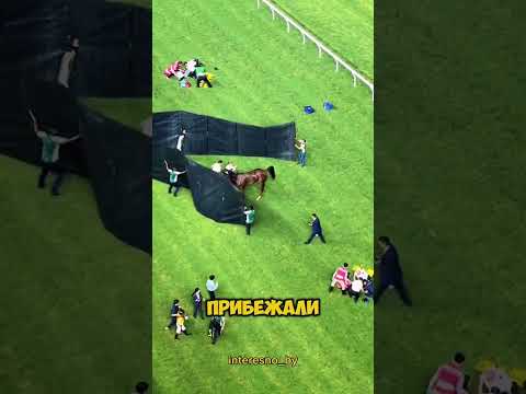 Случилось что-то важное #интересно #рекомендации #спорт #удивительно #shorts #shortvideo #врек