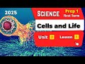 Cells And Life Prep 1 Unit 3 Lesson 1 Science Cells And Life Prep 1 Unit 3 Lesson 1 Science