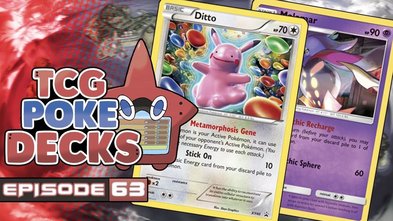 Malamar With Non Gx Attackers Four Ditto Deck Tcg Pokedecks 064
