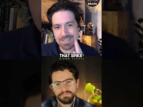 Understanding the Role