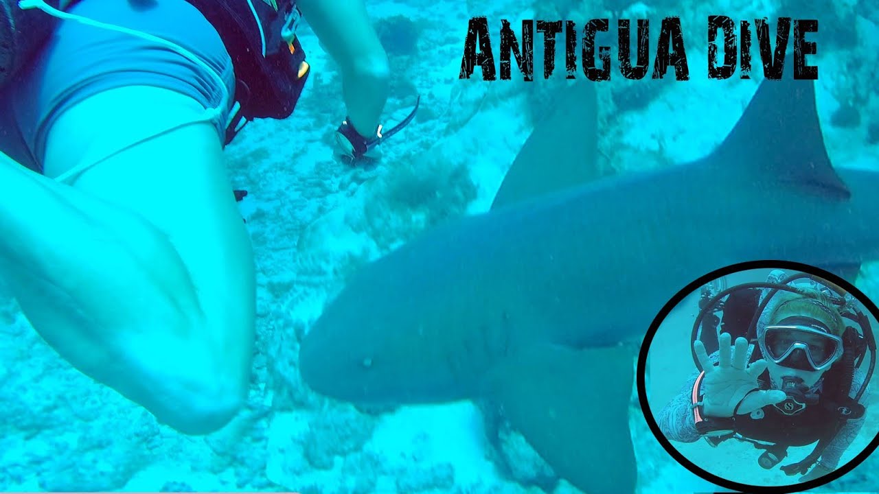 Dive Antigua