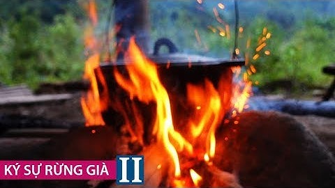 KỂ CHUYỆN LẠ TÂY BẮC • Ký Sự Rừng Già II • Tập 4