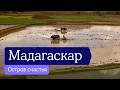 Мадагаскар остров счастья