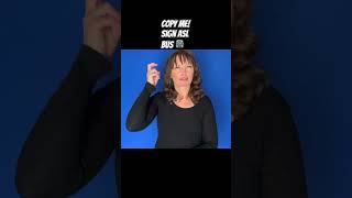 🚍 Learn ASL, sign bus