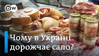 Рекордні ціни на сало, цукор і олію: що відбувається? | DW Ukrainian