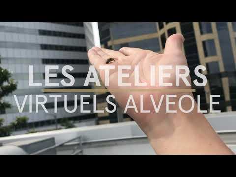 Ateliers virtuels Alvéole