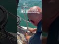 Mastering the rolling hitch with @epicnavigator