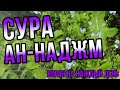 СУРА 53 - АН-НАДЖМ - ПРЕКРАСНОЕ ЧТЕНИЕ КОРАНА