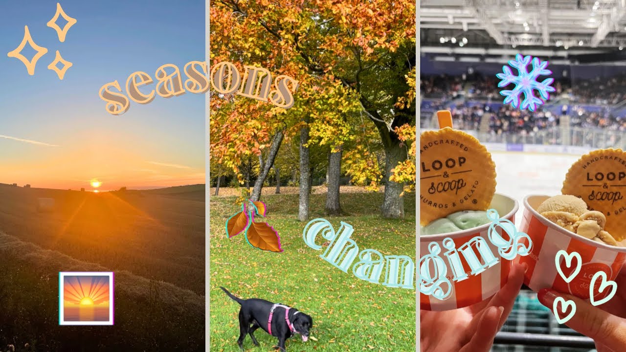 watching the seasons change | late summer to early winter 🌅🍂🌨 - YouTube
