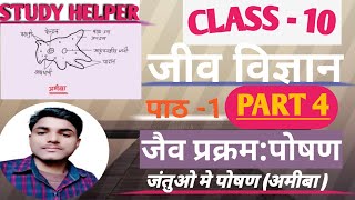 Biology chapter 1 class 10 | class 10 biology chapter 1 Hindi medium| जंतुओ मे पोषन (अमीबा) ।भाग-4