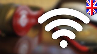 Krack attacks: WiFi networks worldwide could be at risk of hacking attacks - TomoNews