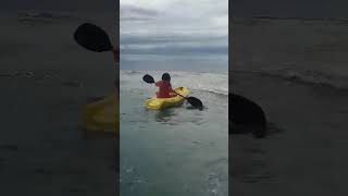 SURFING FAILS