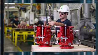 Fire protection sprinkler system for bank