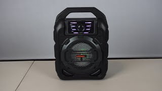 Earise T15 Portable Bluetooth Speaker, Karaoke Machine, and FM Radio Review