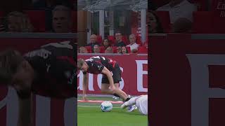 The Nutmeg By Alexis Saelemaekers