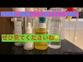 30代40代全ての方にオススメなサボテンオイルなど韓国スキンケア　＃25