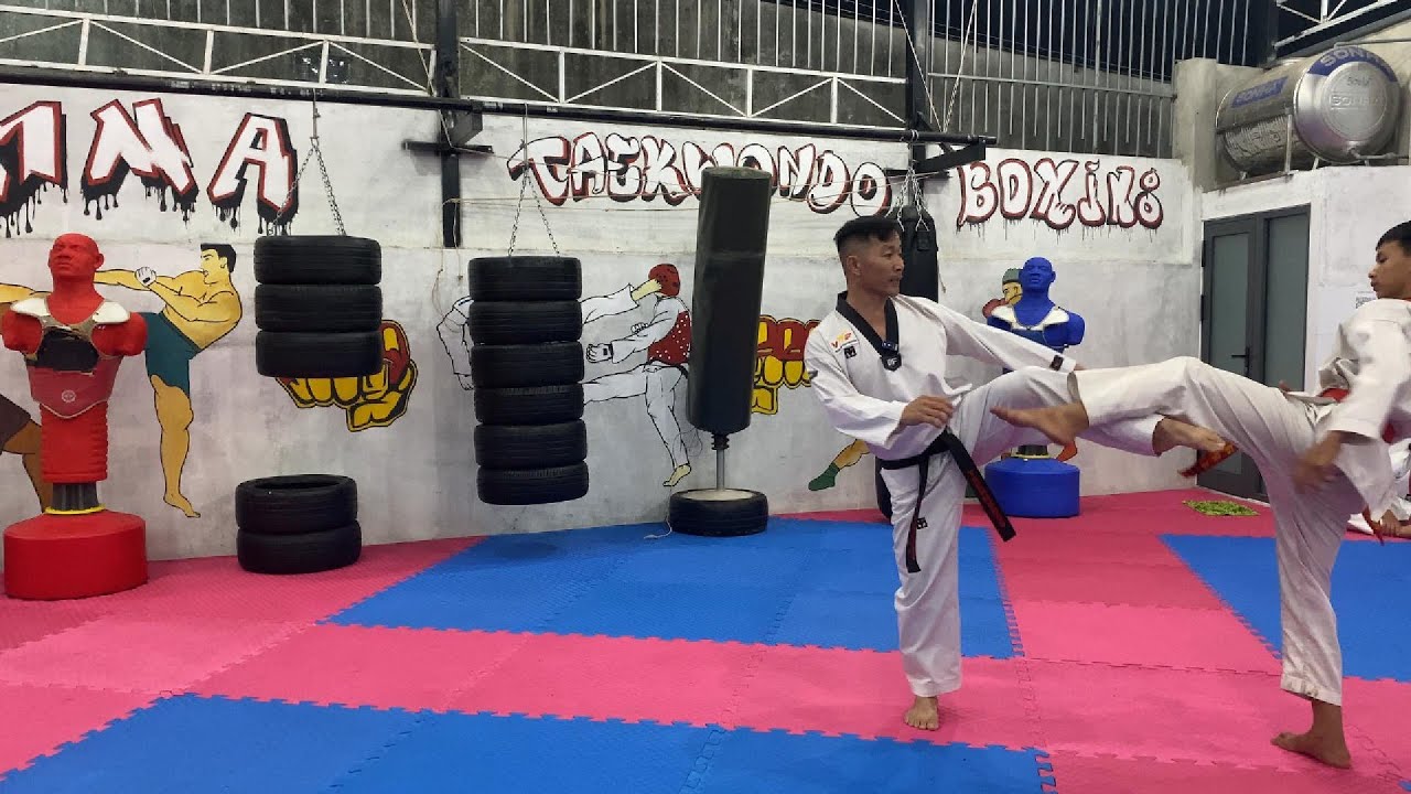 KỸ - CHIẾN THUẬT VÀ TÂM LÝ THI ĐẤU ĐỐI KHÁNG MÔN TAEKWONDO.