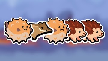 Hedgehog Blowfish Builds Just Got EVEN BETTER