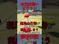 本当は怖いピクミン